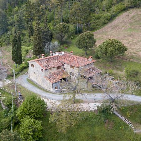 Fattoria Di Cintoia Pontassieve Exterior foto