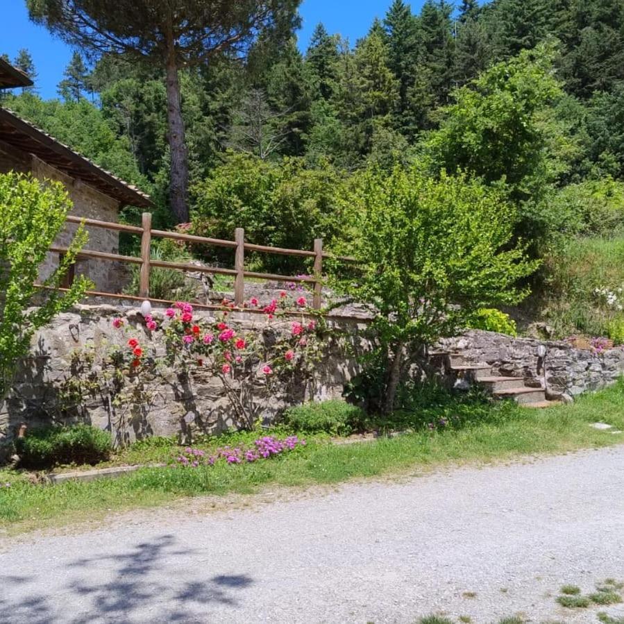 Fattoria Di Cintoia Pontassieve Exterior foto