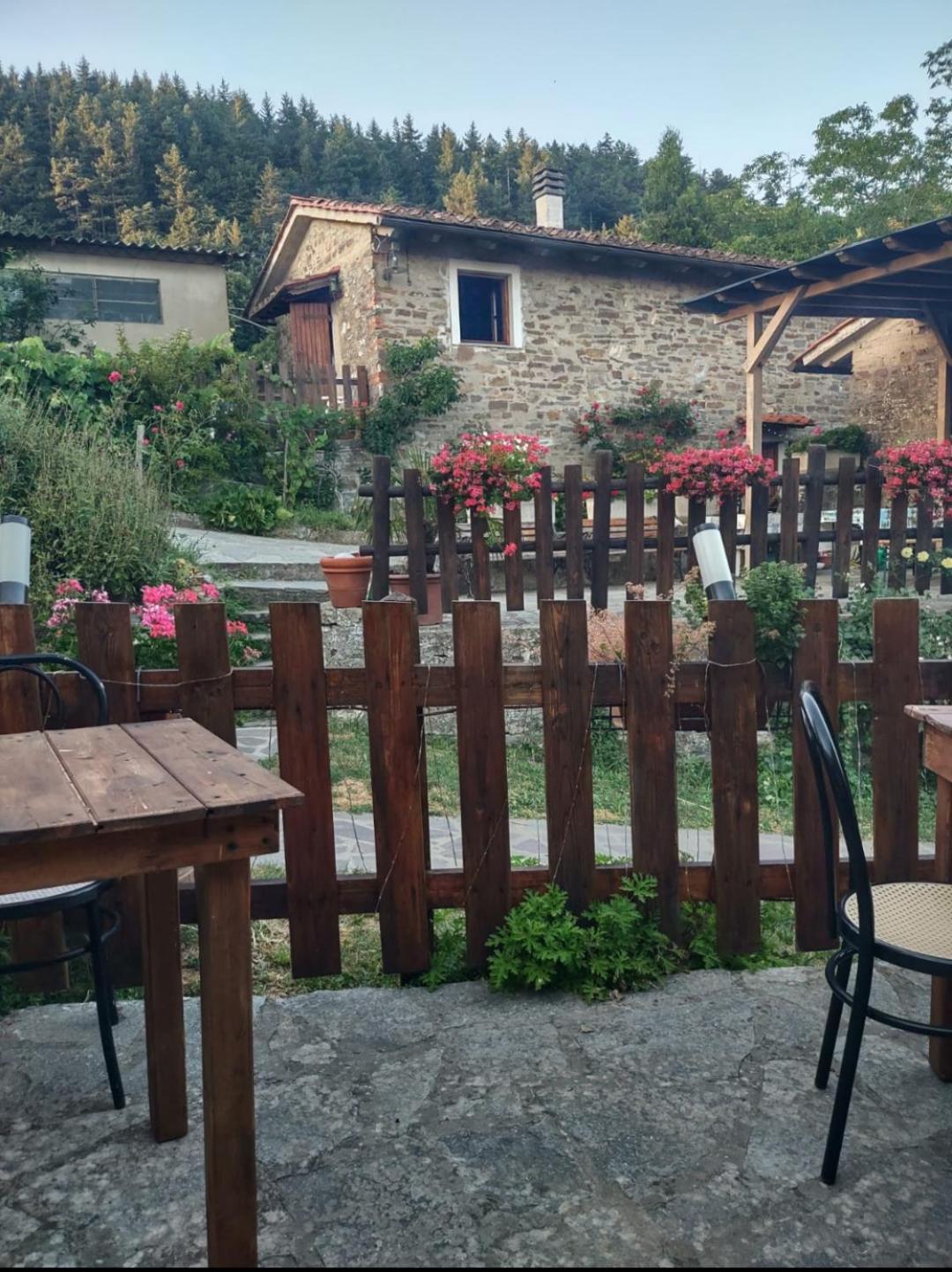 Fattoria Di Cintoia Pontassieve Exterior foto