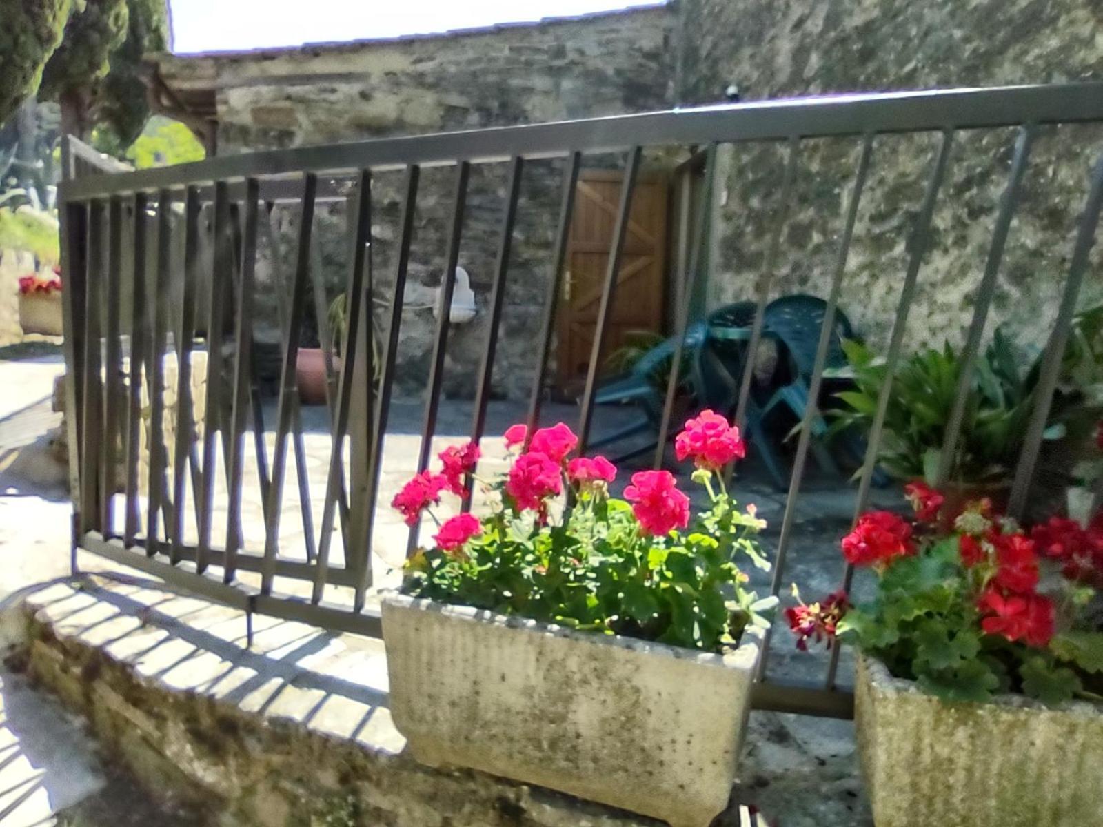 Fattoria Di Cintoia Pontassieve Exterior foto