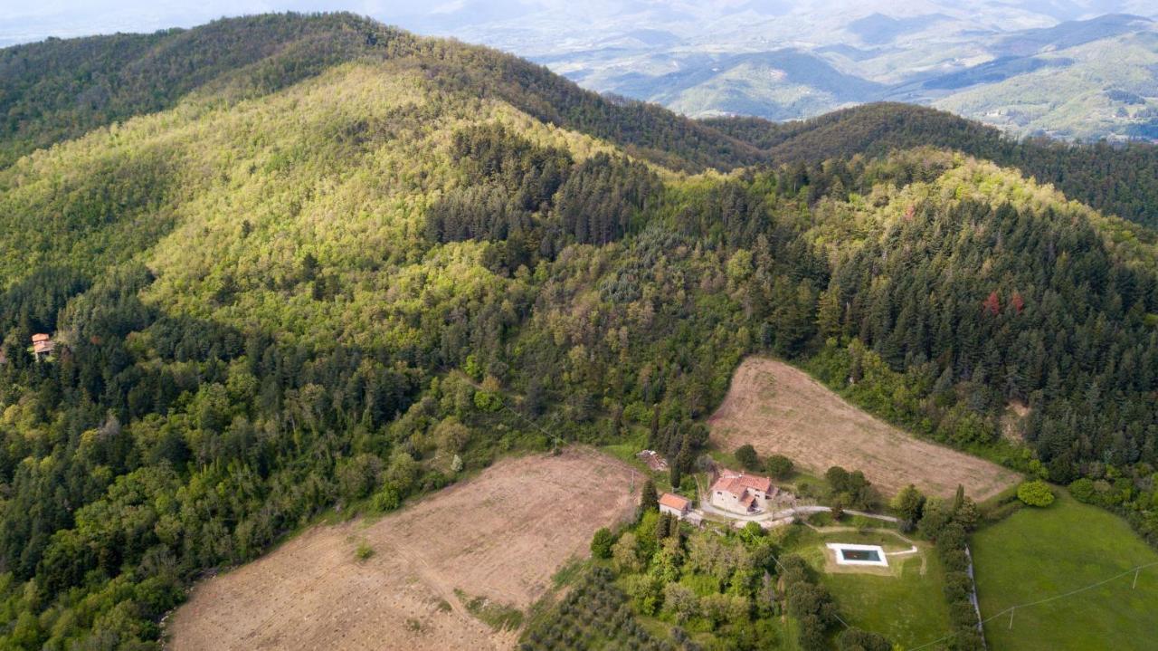 Fattoria Di Cintoia Pontassieve Exterior foto