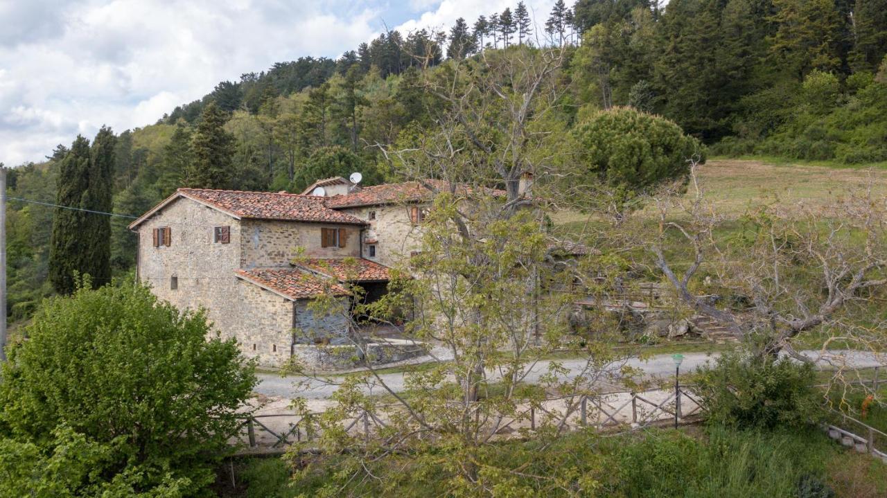 Fattoria Di Cintoia Pontassieve Exterior foto